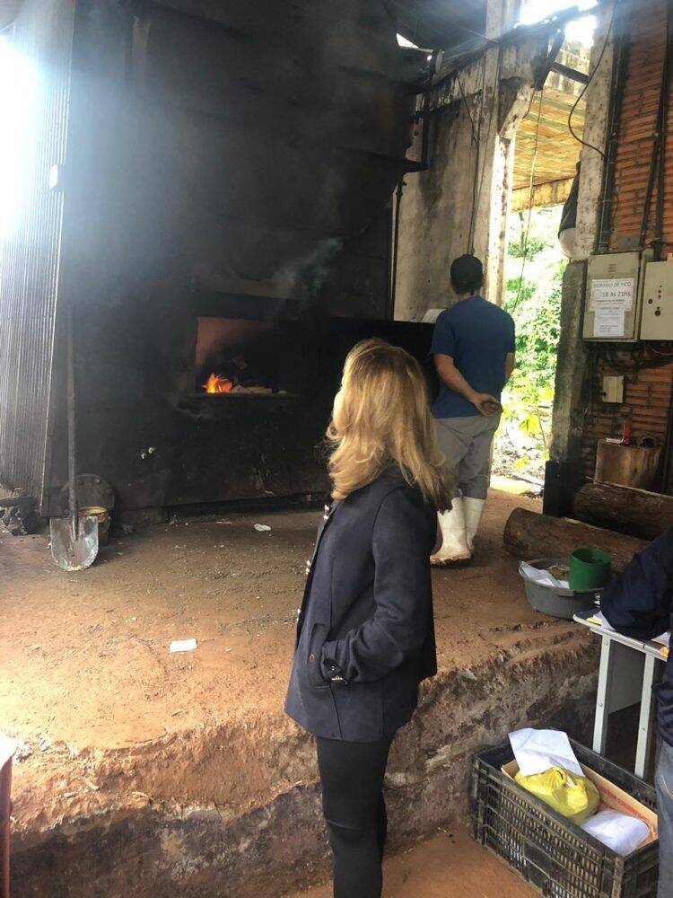 Polícia Civil incinera mais de 2,5 toneladas de drogas