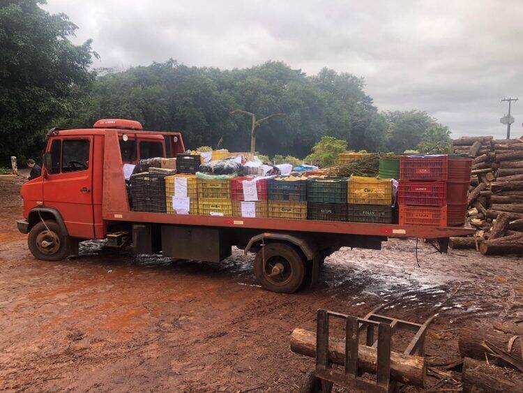 Polícia Civil incinera mais de 2,5 toneladas de drogas