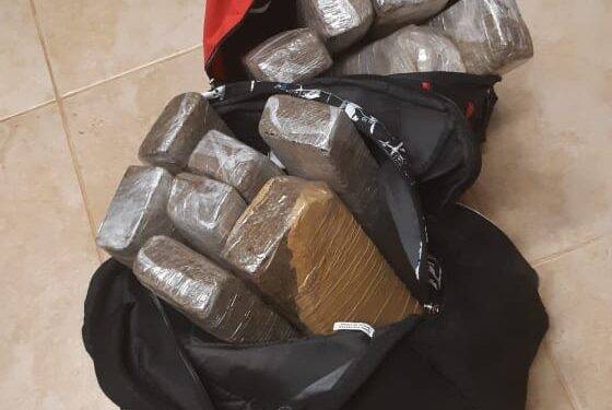 Passageiro é preso com 12 tabletes de maconha em ônibus