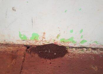 Escola Municipal Gabriela Mistral passará por vistoria do Corpo de Bombeiros