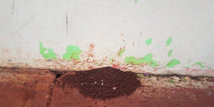 Escola Municipal Gabriela Mistral passará por vistoria do Corpo de Bombeiros