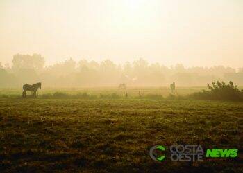 Com El Niño fraco, Paraná terá inverno bem definido