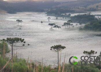 Frio chega com força, oeste pode ter geada