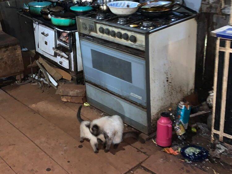 Em audiência de custódia, juiz mantém prisão ao acusado de maus-tratos contra idosos