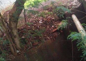 Polícia Ambiental prende diretor de hospital em São Miguel do Iguaçu