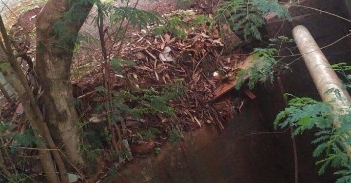 Polícia Ambiental prende diretor de hospital em São Miguel do Iguaçu