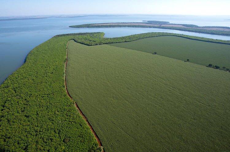 Unesco reconhece áreas da margem brasileira de Itaipu como Reserva da Biosfera