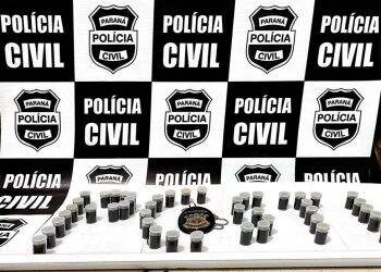 Suspeita de vender “chumbinho”, mulher é presa em Santa Terezinha de Itaipu