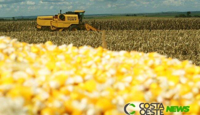 Safra de grãos no Paraná deve ter aumento de 5% e atingir 37 milhões de toneladas