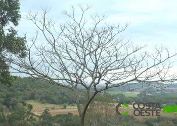Frente fria avança pelo Sul neste domingo