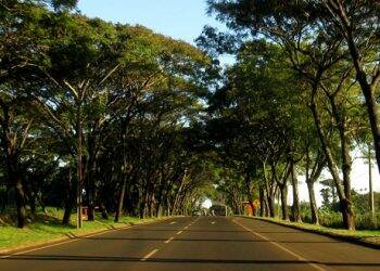 Velocidade da Avenida Tancredo Neves está limitada a 60 km/h a partir desta quarta, 3