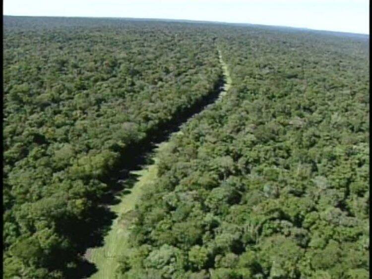 Parlamentares paranaenses estão empenhados na reabertura da Estrada do Colono
