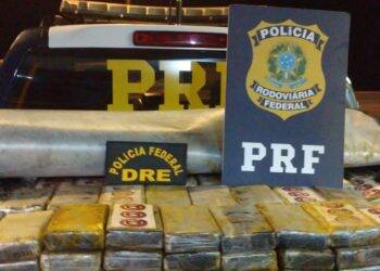 Mais uma grande apreensão de cocaína é feita no Paraná