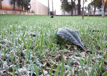 Simepar alerta para ‘fake’, mas prevê frio intenso no fim de semana