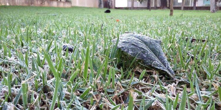 Simepar alerta para ‘fake’, mas prevê frio intenso no fim de semana