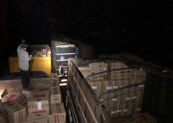 PF e BPFRON apreendem cigarros em caminhão boiadeiro, carga é avaliada em R$ 4,5 milhões