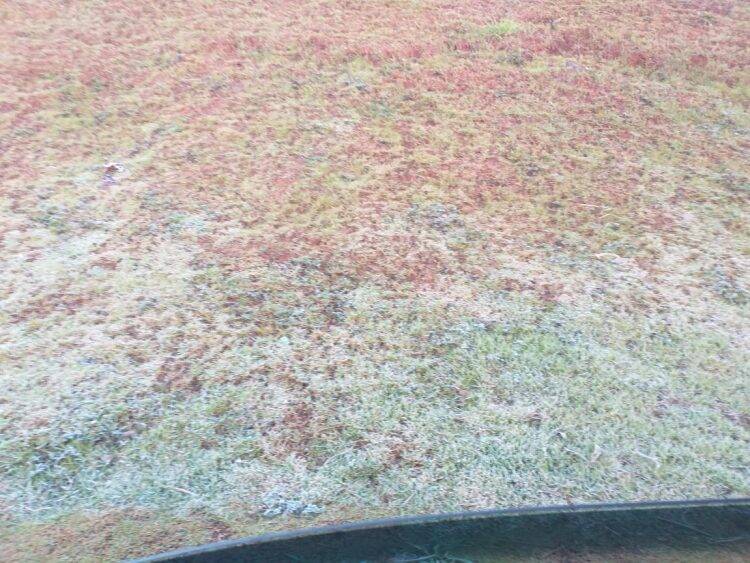 Foz do Iguaçu registrou temperatura abaixo de 0º grau