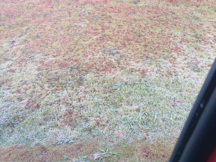 Foz do Iguaçu registrou temperatura abaixo de 0º grau