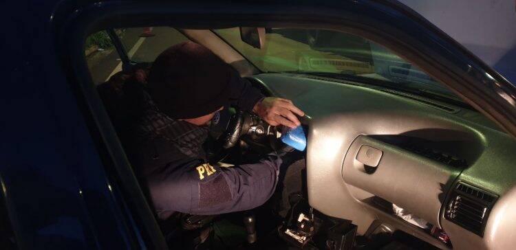 Atropelamentos e colisões frontais concentram 50% das mortes em rodovias no Paraná, aponta PRF