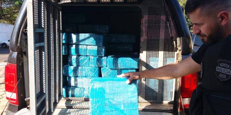 Polícia Civil prende homem com quase meia tonelada de maconha em Três Lagoas