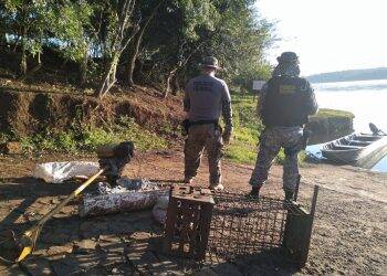 PF e Força Nacional combatem crimes ambientais na fronteira com a Argentina.