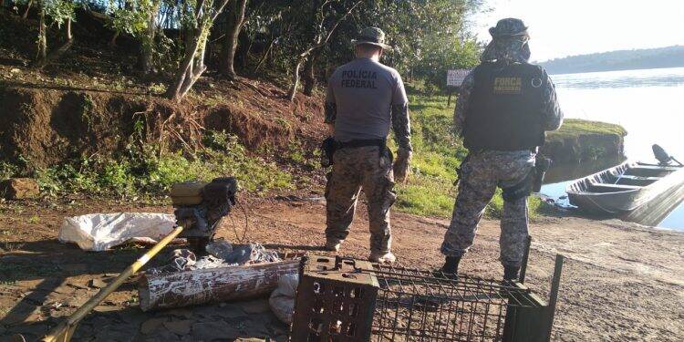 PF e Força Nacional combatem crimes ambientais na fronteira com a Argentina.