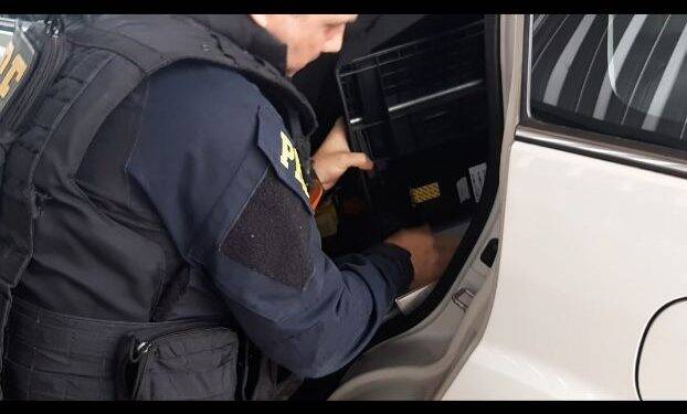 PRF encontra mercadoria ilegal embaixo de bebê conforto em carro ocupado por família