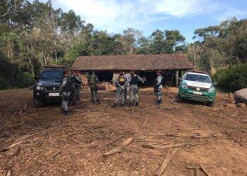 Polícia Federal fecha serraria clandestina