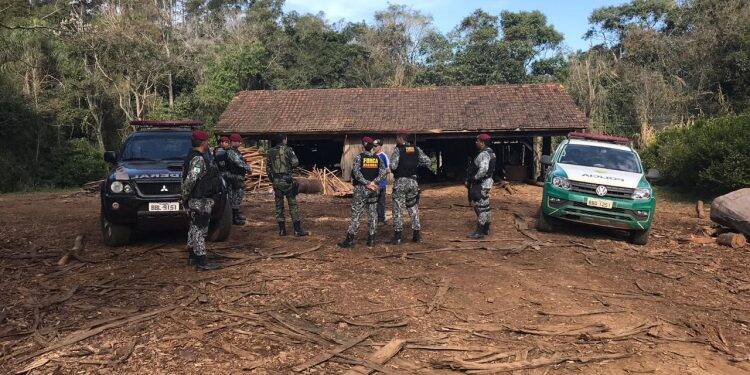 Polícia Federal fecha serraria clandestina
