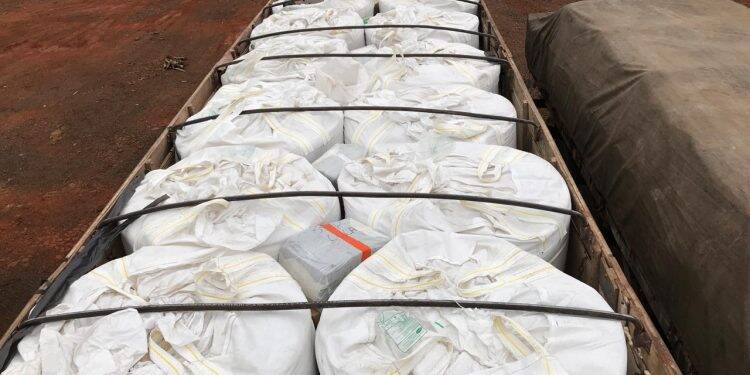Polícia Federal apreende grande quantidade de maconha em carga de Arroz em Foz