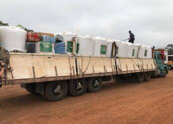 Polícia Federal apreende grande quantidade de maconha em carga de Arroz em Foz