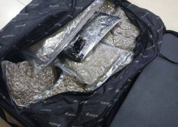 Mulher é presa pela PRF transportando Skunk em ônibus de linha