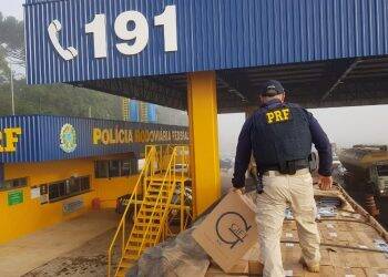 PRF apreende 14,9 toneladas de drogas no Paraná durante o 1º semestre