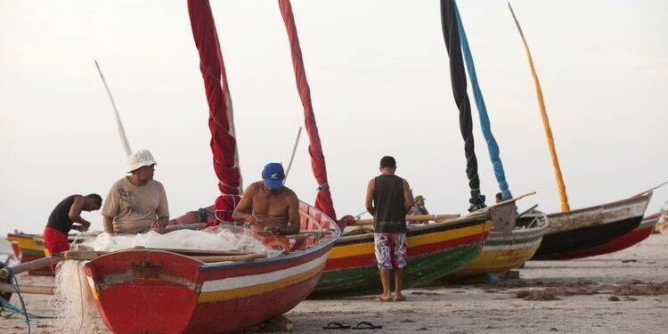 Pescadores serão recadastrados para seguro defeso