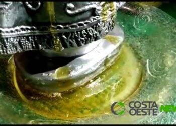 Paróquia de Corbélia vai investigar o caso da imagem da santa que verte mel