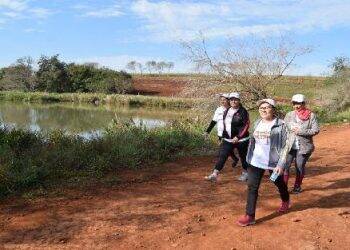 Começam os preparativos para a XIV edição da Festa do Colono