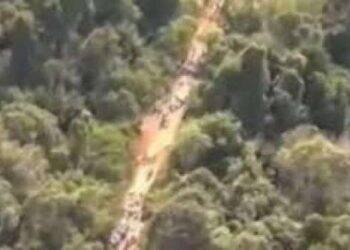 Relator dá parecer favorável à criação da Estrada-Parque Caminho do Colono