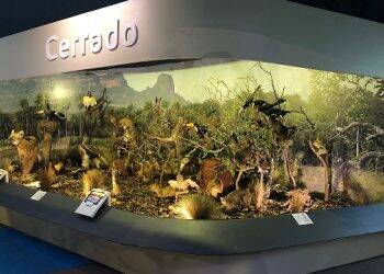 Últimos dias para visitar a Exposição Itaipu Natureza