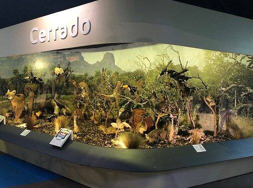 Últimos dias para visitar a Exposição Itaipu Natureza