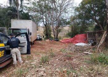 PRF, PF e Exército estouram depósito com R$ 7,5 milhões em cigarros no Paraná