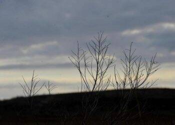 Sexta-feira começa com chuva em Foz e temperatura amena