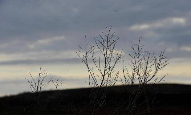 Sexta-feira começa com chuva em Foz e temperatura amena