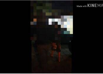 Adolescentes são apreendidos em flagrante tentando pegar bolsa de vítima