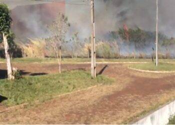 Incêndio assusta alunos da Unioeste e Unila