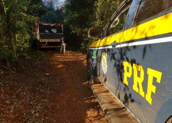 PRF, Receita Federal e Polícia Civil apreendem cerca de 500 caixas de cigarros