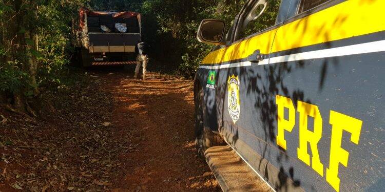 PRF, Receita Federal e Polícia Civil apreendem cerca de 500 caixas de cigarros