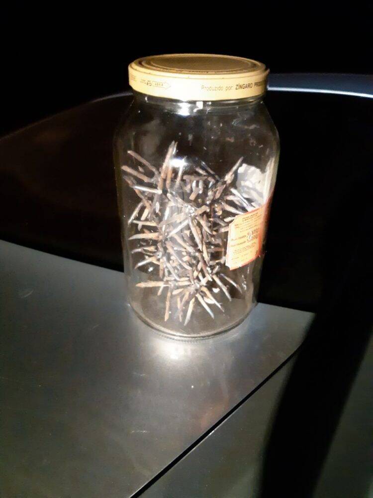 PRF apreende maconha em veículo roubado