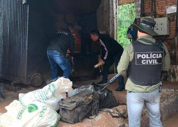 Polícia Civil de Santa Terezinha de Itaipu incinera duas toneladas de maconha