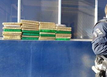 PRF de Santa Terezinha de Itaipu apreende maconha em fundo de veículo