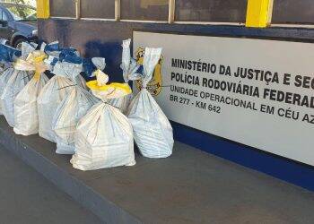 Adolescente é flagrado dirigindo carro roubado com mais de 300 quilos de maconha